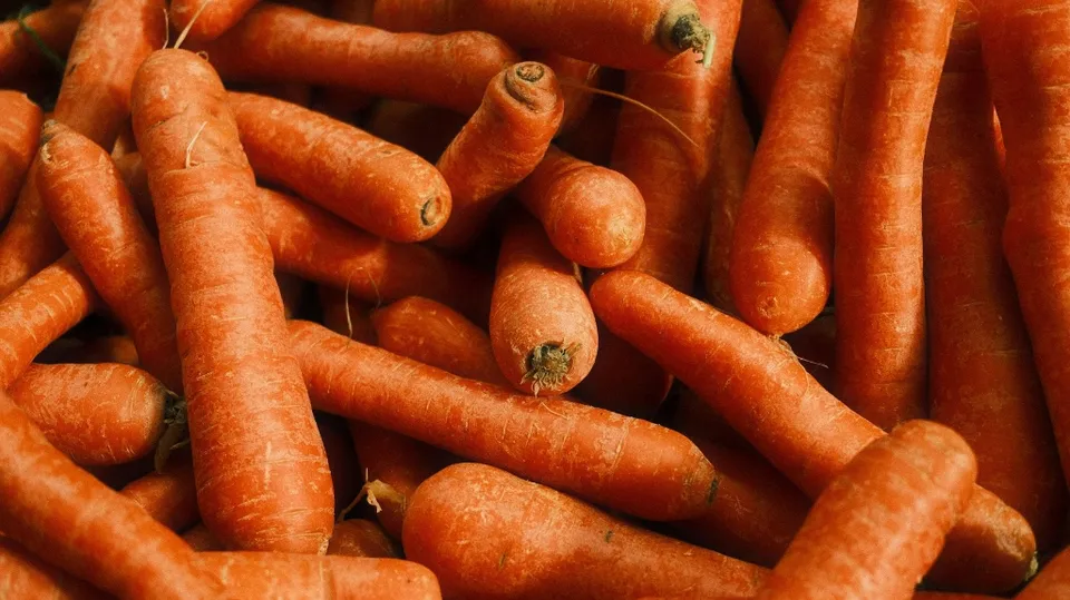 Catering Made Fresh For You